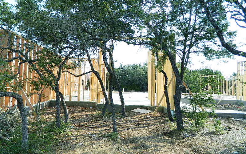 spanish oaks tree lined entry